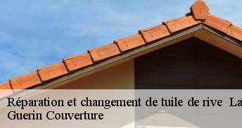 Réparation et changement de tuile de rive 45240