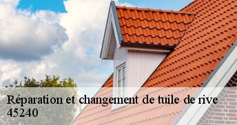Réparation et changement de tuile de rive