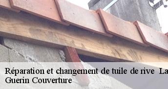 Réparation et changement de tuile de rive