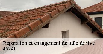 Réparation et changement de tuile de rive 45240
