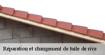Réparation et changement de tuile de rive