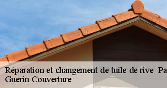 Réparation et changement de tuile de rive 45700