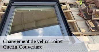 Changement de velux Loiret