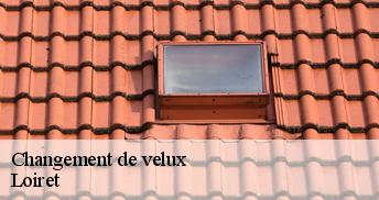 Changement de velux Loiret 