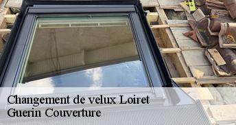 Changement de velux Loiret 