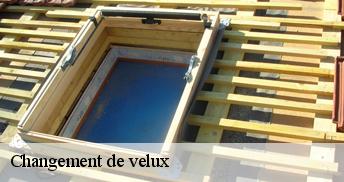 Changement de velux Loiret 