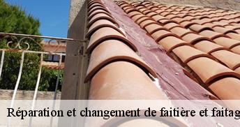 Réparation et changement de faitière et faitage