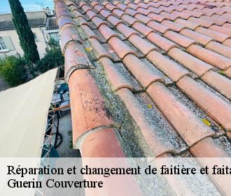 Réparation et changement de faitière et faitage 45 Loiret Guerin Couverture
