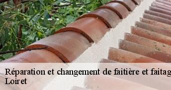 Réparation et changement de faitière et faitage Loiret