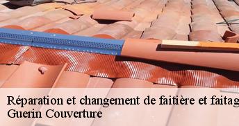 Réparation et changement de faitière et faitage Loiret
