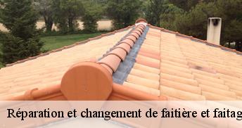 Réparation et changement de faitière et faitage Loiret