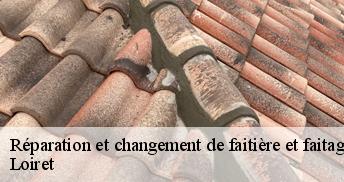 Réparation et changement de faitière et faitage Loiret 