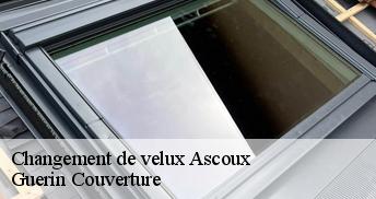 Changement de velux