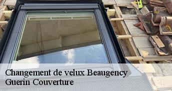 Changement de velux 45190