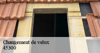 Changement de velux  45300