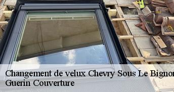 Changement de velux 45210