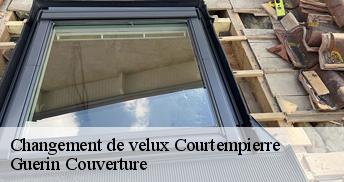 Changement de velux 45490