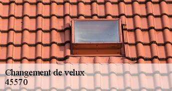 Changement de velux  45570