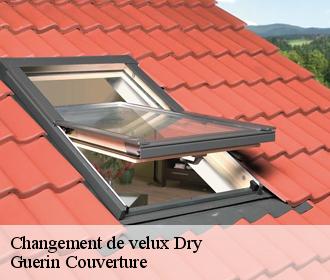 Changement de velux dry-45370 Guerin Couverture