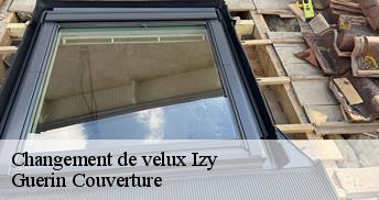 Changement de velux 45480