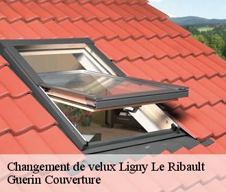Changement de velux ligny-le-ribault-45240 Guerin Couverture