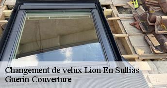 Changement de velux  45600