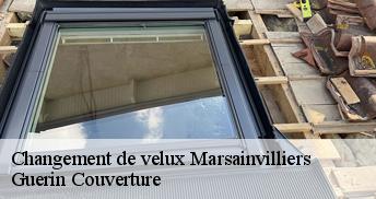 Changement de velux 45300