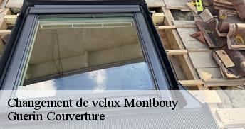 Changement de velux 45230