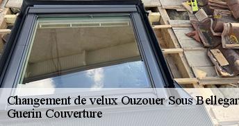 Changement de velux 45270