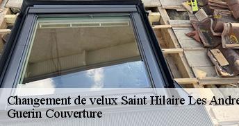 Changement de velux 45320