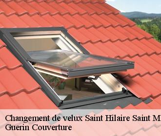 Changement de velux saint-hilaire-saint-mesmin-45160 Guerin Couverture