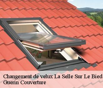 Changement de velux la-selle-sur-le-bied-45210 Guerin Couverture