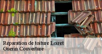 Réparation de toiture Loiret