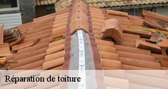 Réparation de toiture Loiret