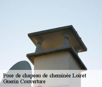 Pose de chapeau de cheminée 45 Loiret Guerin Couverture