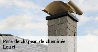 Pose de chapeau de cheminée Loiret