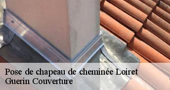 Pose de chapeau de cheminée Loiret