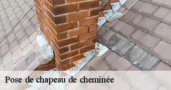 Pose de chapeau de cheminée Loiret