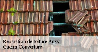 Réparation de toiture 45340