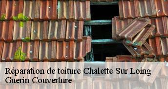 Réparation de toiture 45120