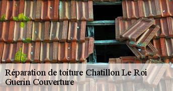 Réparation de toiture 45480