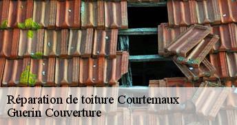 Réparation de toiture 45320