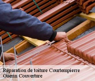 Réparation de toiture courtempierre-45490 Guerin Couverture