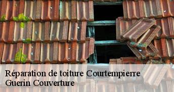 Réparation de toiture 45490