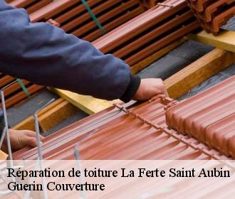 Réparation de toiture la-ferte-saint-aubin-45240 Guerin Couverture