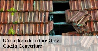 Réparation de toiture 45520