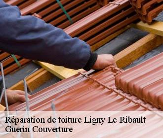 Réparation de toiture ligny-le-ribault-45240 Guerin Couverture