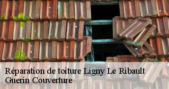 Réparation de toiture 45240