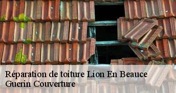 Réparation de toiture 45410