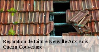 Réparation de toiture 45170